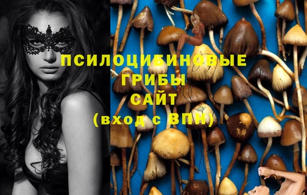 эйфоретик Михайловск