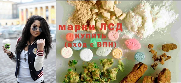 трава Медвежьегорск