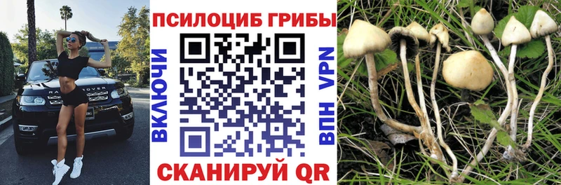 Галлюциногенные грибы мухоморы  это Telegram  Киселёвск  как найти закладки 