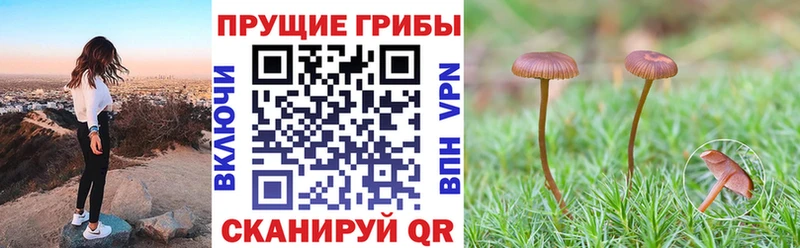 Псилоцибиновые грибы мухоморы Киселёвск